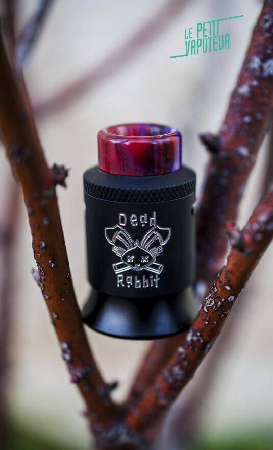 Dead Rabbit Blog Le Petit Vapoteur (134)